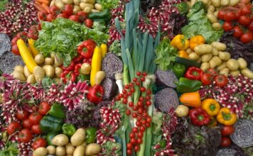 Jakie są różnice między warzywami ekologicznymi a konwencjonalnymi? Jakie są różnice między warzywami ekologicznymi a konwencjonalnymi?