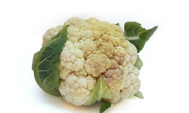 Czy królik może jeść kalafior?