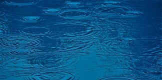 Na co mają wpływ kiełki?