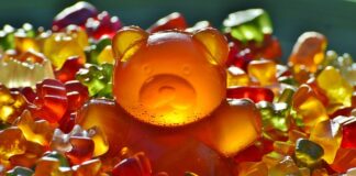 Jak zrobić mieszankę dla ptaków?