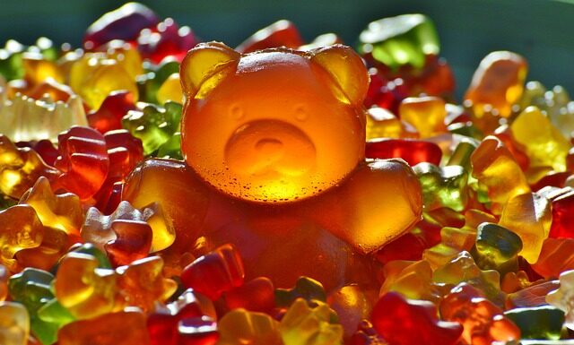 Jak zrobić mieszankę dla ptaków?