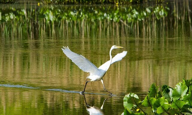 Czy Heinz kupił Pudliszki? Czy Heinz kupił Pudliszki?