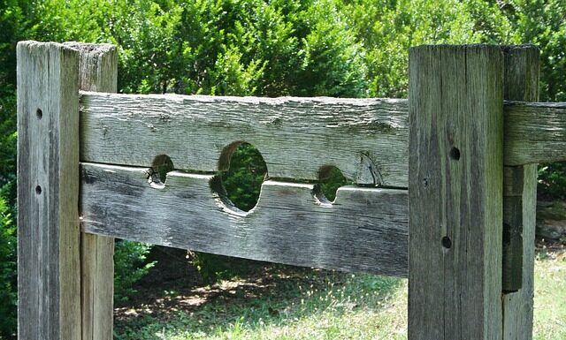 Jak karać psa za załatwianie się w domu?