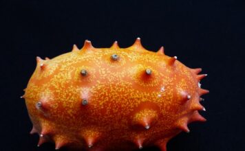 Jak zrobić kompot do picia? Jak zrobić kompot do picia?