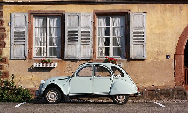 Czy można dać kaczkom siemię lniane?