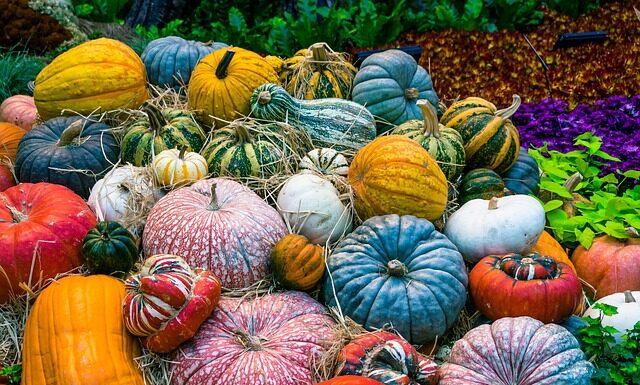 Czy wegetarianie mogą jeść kawior?