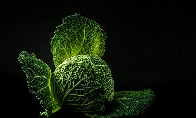 Ile soli na 10 kg kapusty kiszonej? Ile soli na 10 kg kapusty kiszonej?