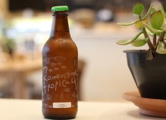 Ile kosztuje kombucha?