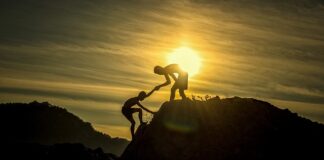 Czy jedzenie dużo kiszonek szkodzi?