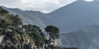 Ile kosztuje 1 kg jesiotra?