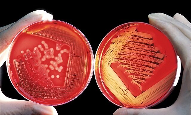 Co można kleić klejem poliuretanowym?