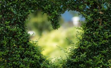 Gdzie kupić zieloną kawę na odchudzanie? Gdzie kupić zieloną kawę na odchudzanie?