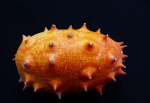 Jak się robi kompot z jabłek? Jak się robi kompot z jabłek?