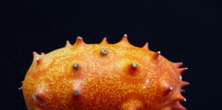 Jak się robi kompot z jabłek?