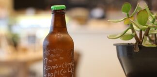 Jak pachnie kombucha?