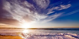 Co daje picie zielonej kawy?