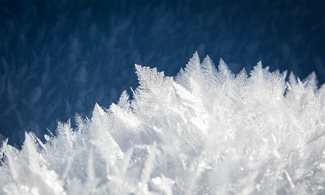 Czego nie można zamrażać?