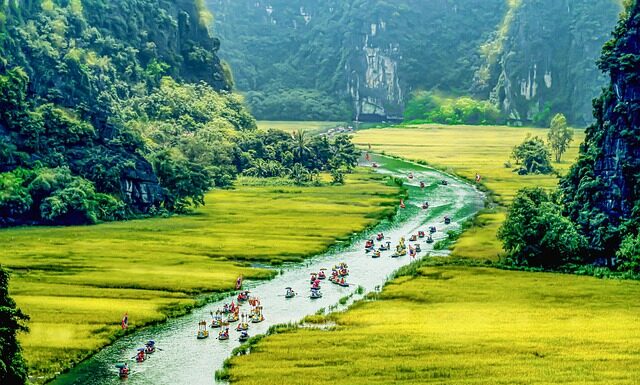 Co zamiast kołnierza dla kota?