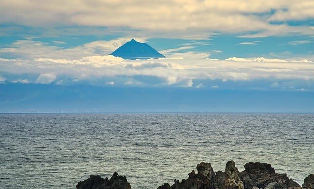 Jak uspokoić psa w kojcu?