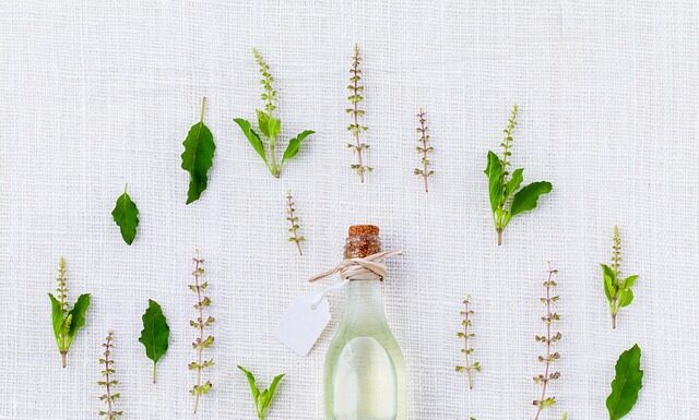 Jakie przyprawy do kiszenia? Jakie przyprawy do kiszenia?