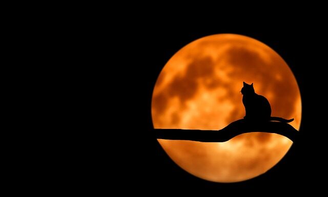 Czemu n jest czarne w nutelli? Czemu n jest czarne w nutelli?