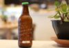 Co to znaczy kombucha? Co to znaczy kombucha?