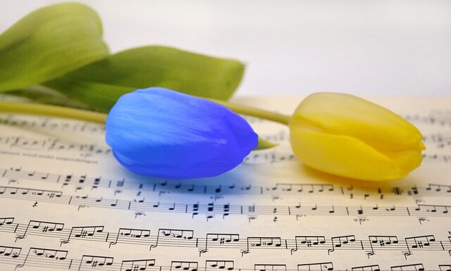 Co jest na Ukrainie czego nie ma w Polsce?