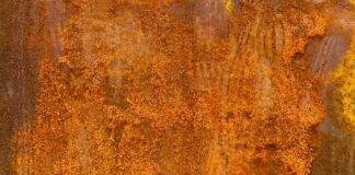 Jaka kasza ma dużo żelaza?